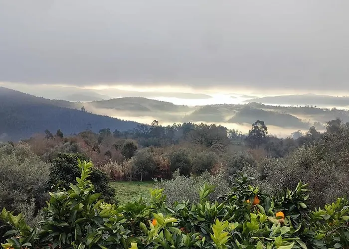 Bed & Breakfast Raposeira *